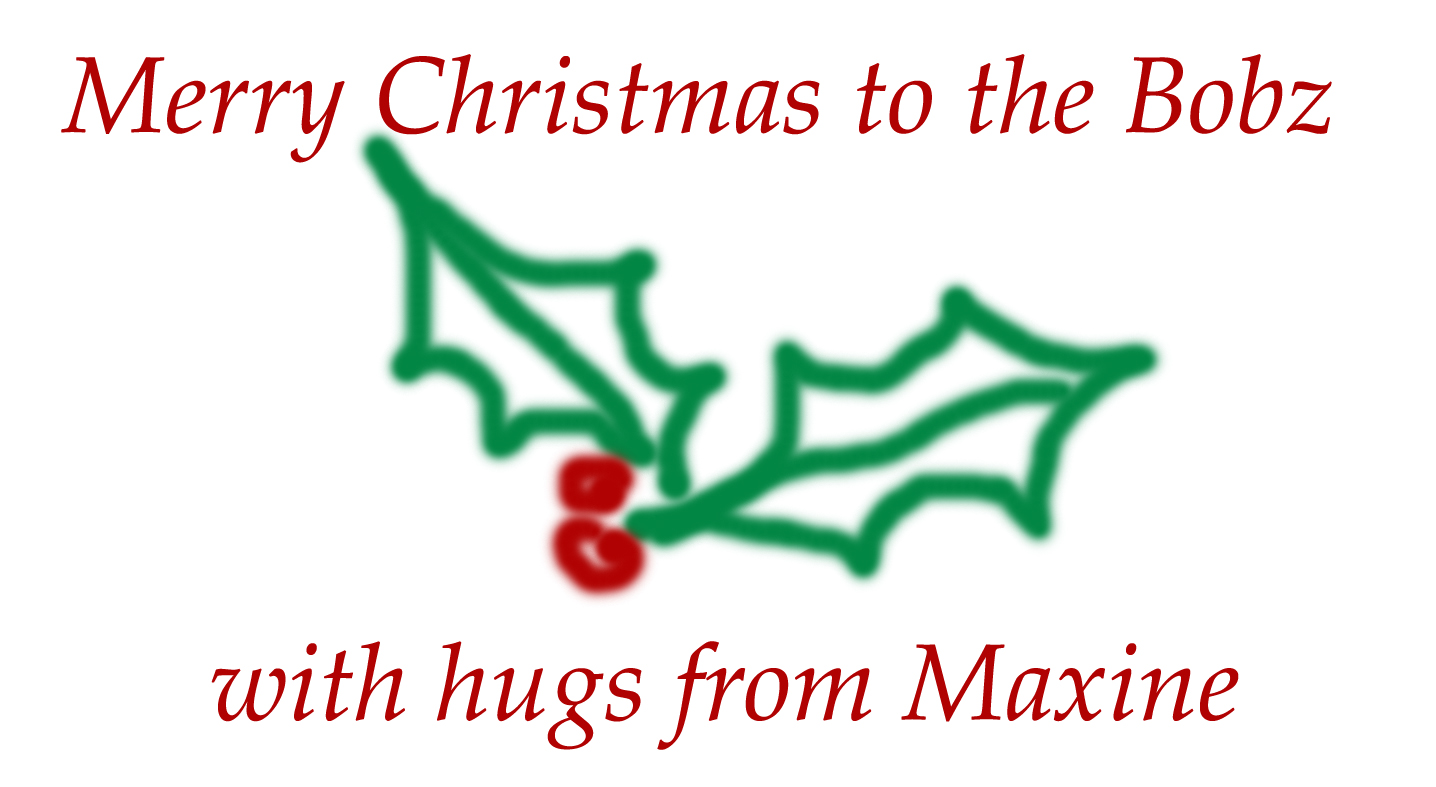 Merry Christmas, Bobz!